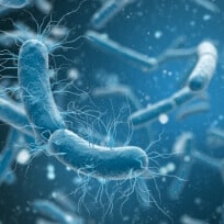 IMMUNOLOGY