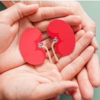 NEPHROLOGY
